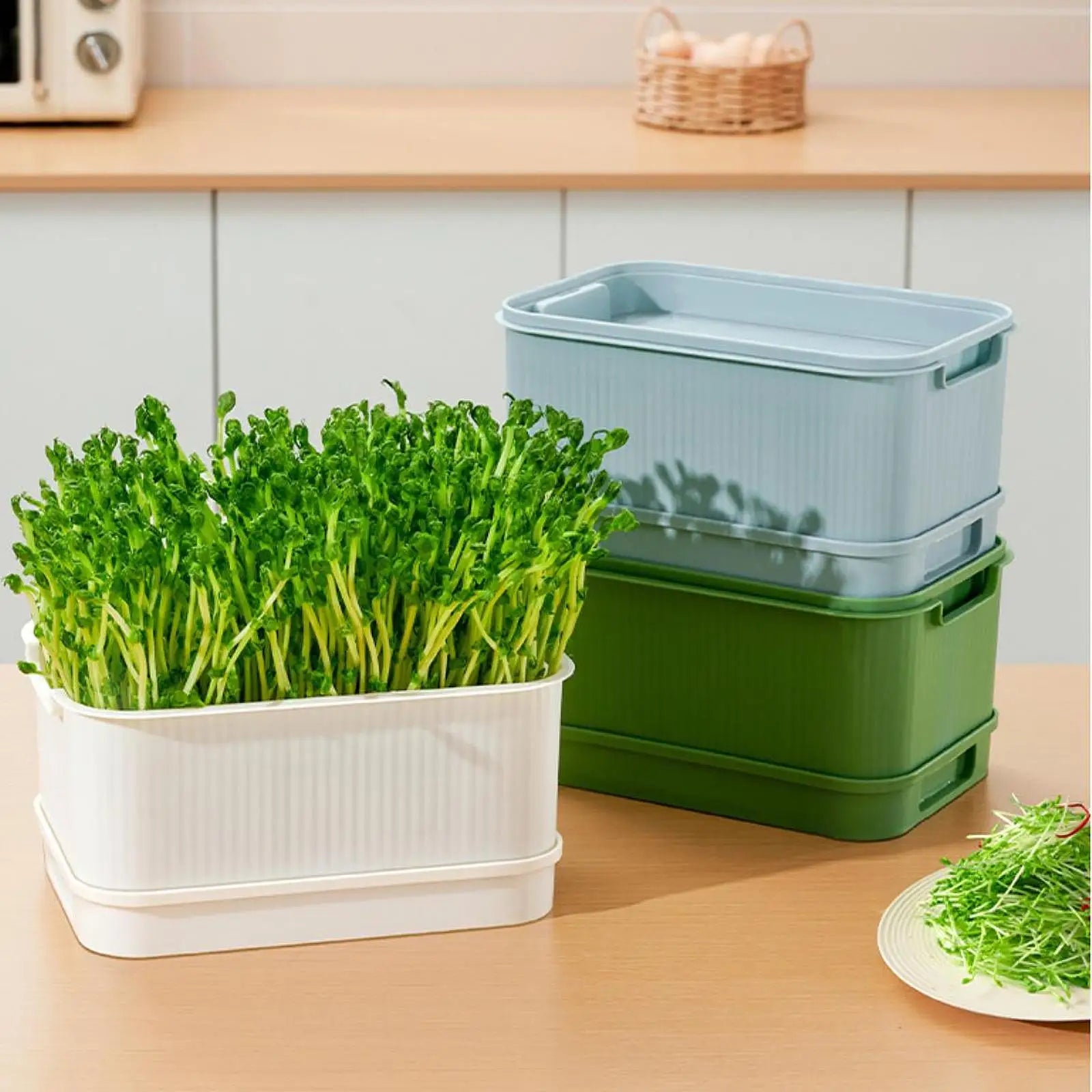 GreenSprout Tray - Double-Layer Hydroponic Seed and Microgreens Germination Tray