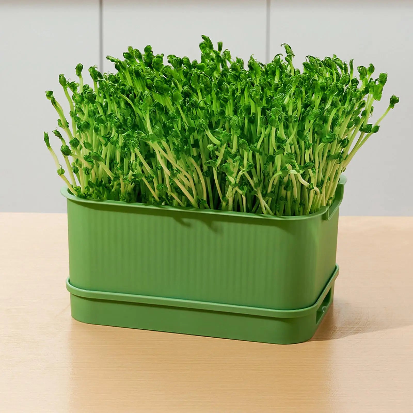 GreenSprout Tray - Double-Layer Hydroponic Seed and Microgreens Germination Tray